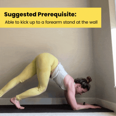 intermediate forearm stand prerecs.gif