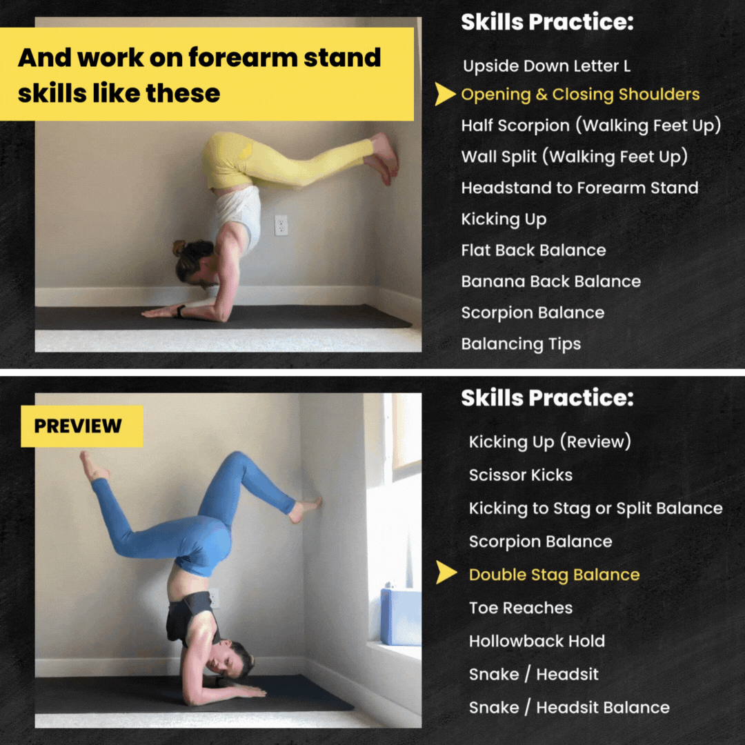 forearm stand bundle skills.gif