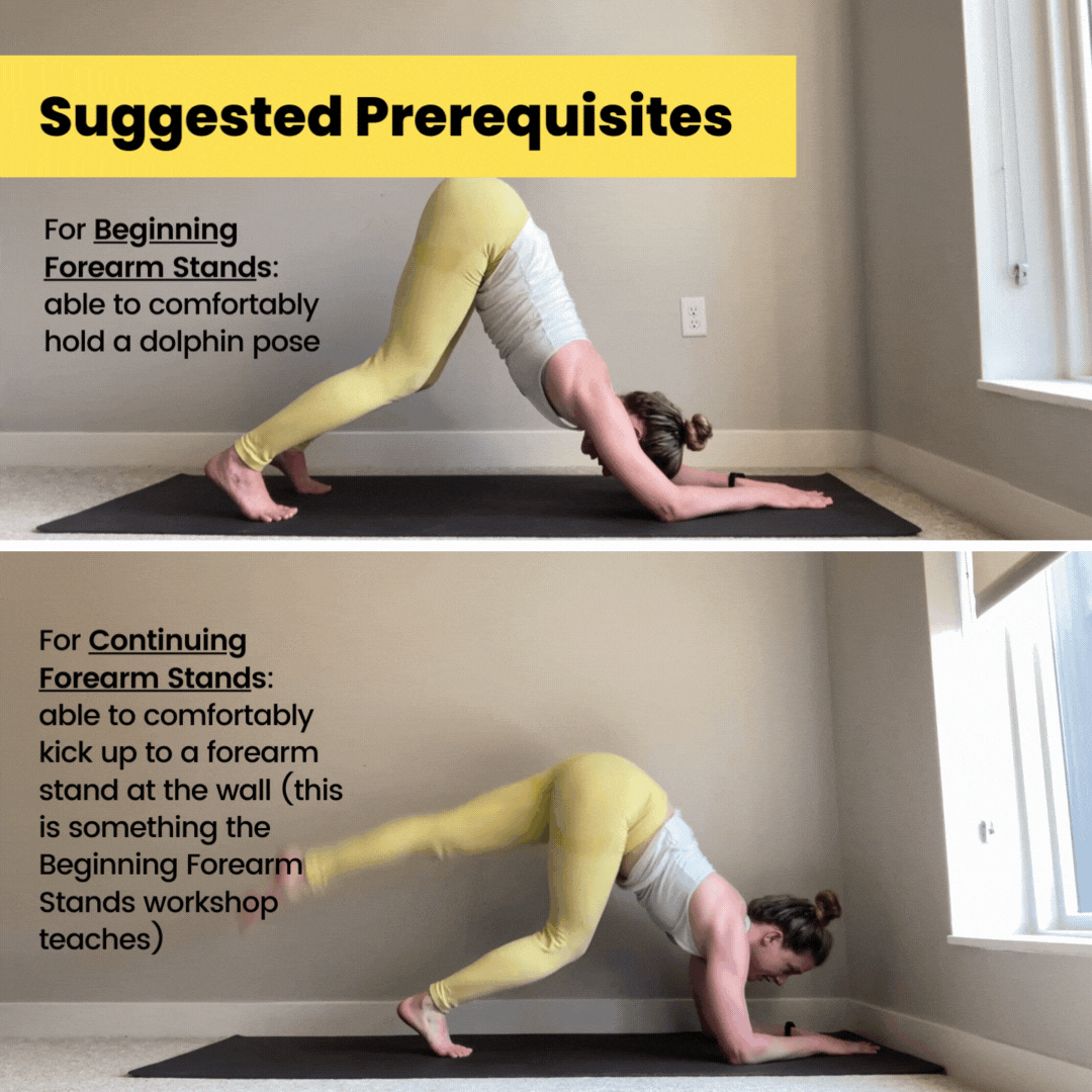 pincha prerequisites.gif