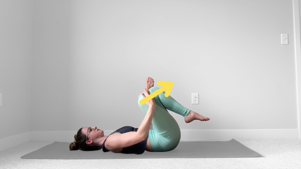 Hip Rotation (ROM) — Dani Winks Flexibility