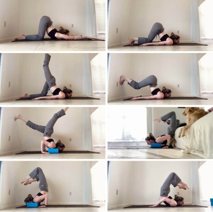 Example Chest Stand Training Progression — Dani Winks Flexibility