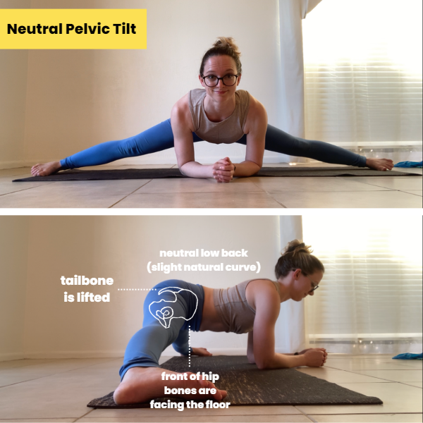 Proper” Hip Alignment for Middle Splits — Dani Winks Flexibility