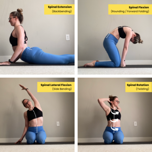 Back Flexibility Stretches