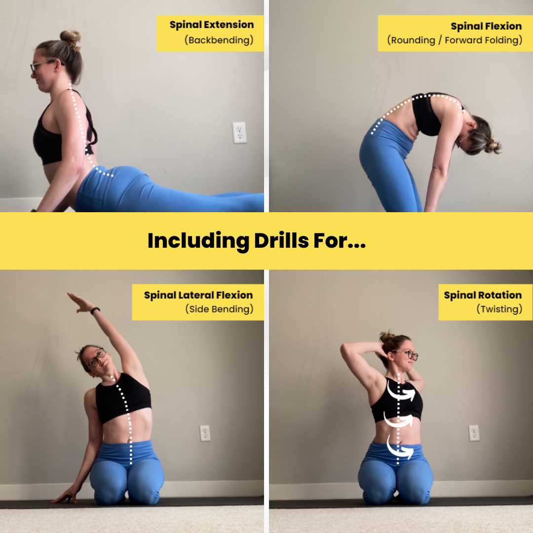 back stretch ranges of motion in workshop.png