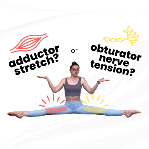 What is “Active Flexibility” and Why is It So Important? — Dani Winks  Flexibility