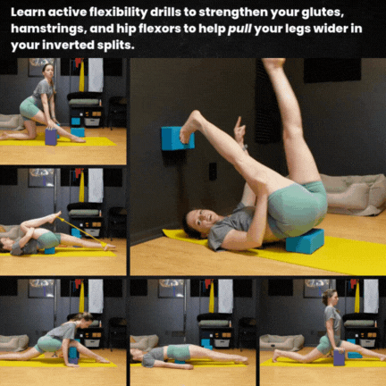 Workshop Recordings — Dani Winks Flexibility