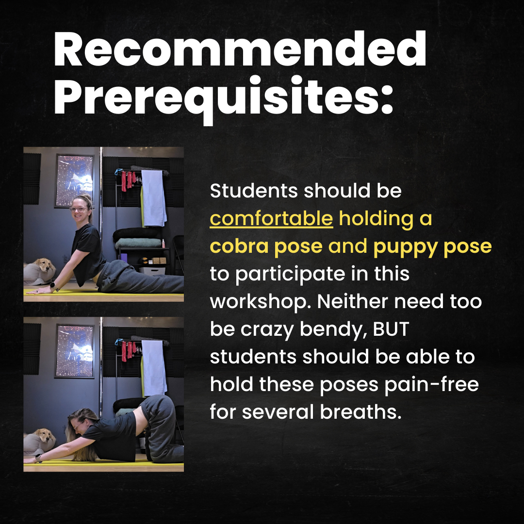 flipped grip prerequisites.png