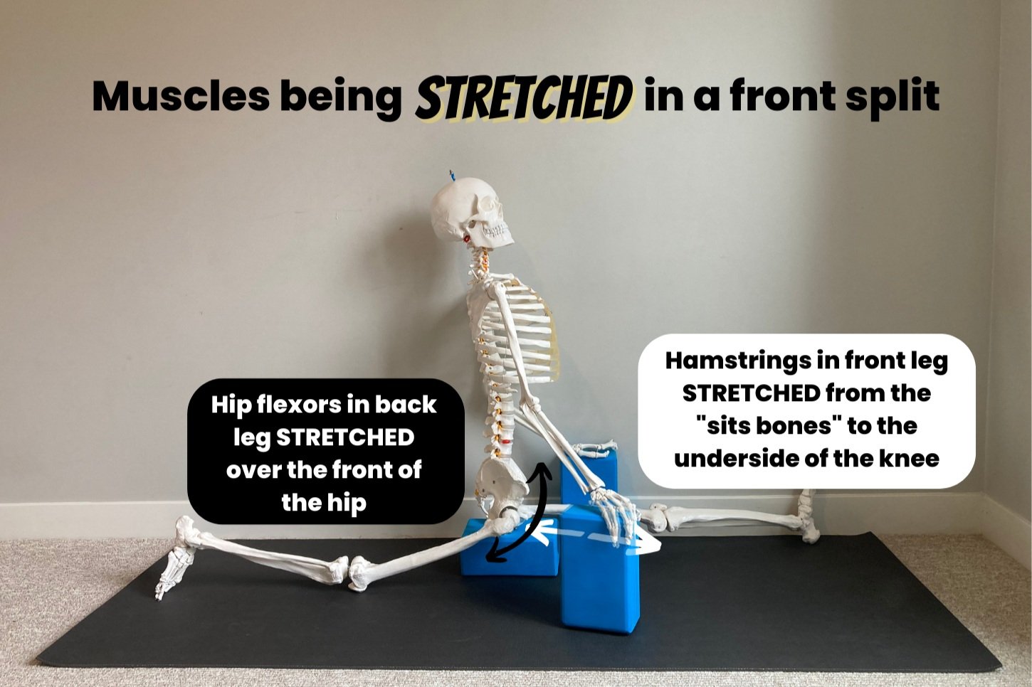 How I Achieved A Flat Front Split As An Adult Male – Straight Talking  Fitness