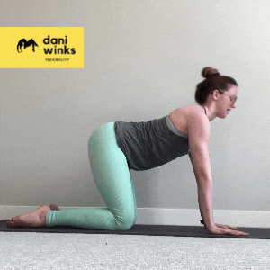 6 Cat-Cow Variations for Spinal and Shoulder Mobility — Dani Winks  Flexibility