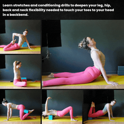 toes to head workshop GIFs.gif