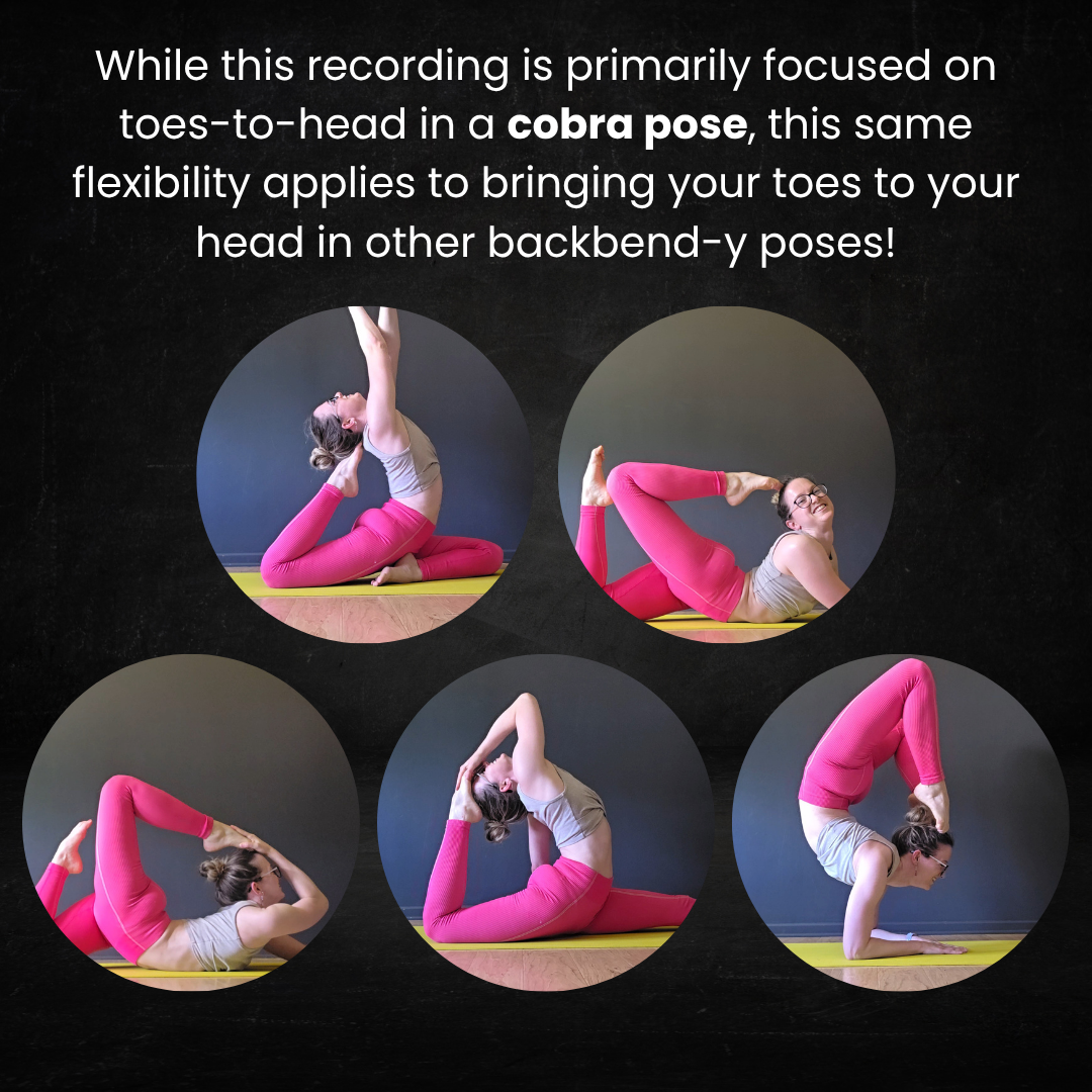 toes to head pose variations.png