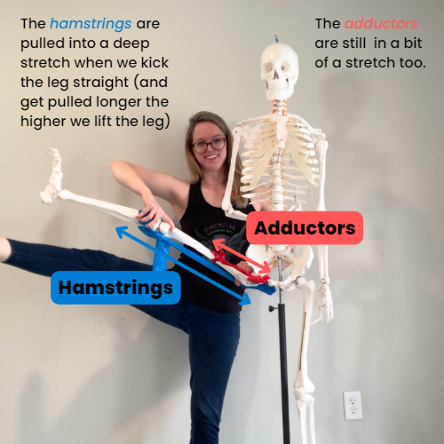 Struggling to Keep Your Back “Flat” in a Forward Fold? 5 Tips to Hinge at  the Hips — Dani Winks Flexibility