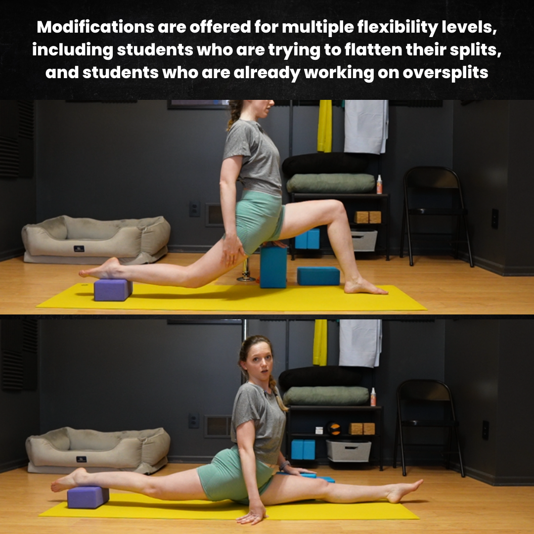 splits workshop modifications.png
