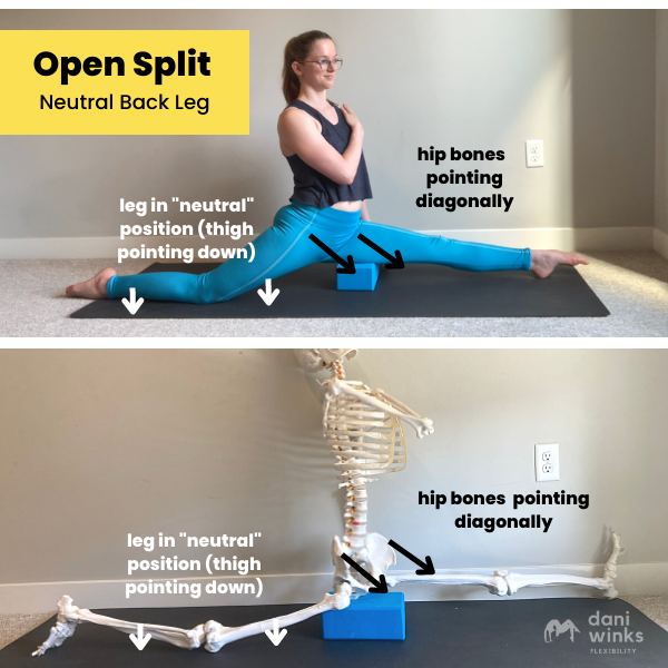 How to Tell if Your Split is “Square” (the “Butt Cheek Test” and More!) —  Dani Winks Flexibility