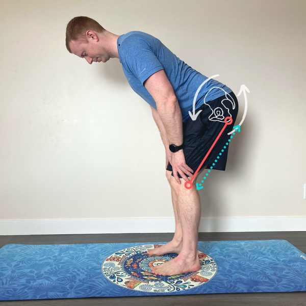 Is it OK to Round Your Back in a Forward Fold? — Dani Winks Flexibility