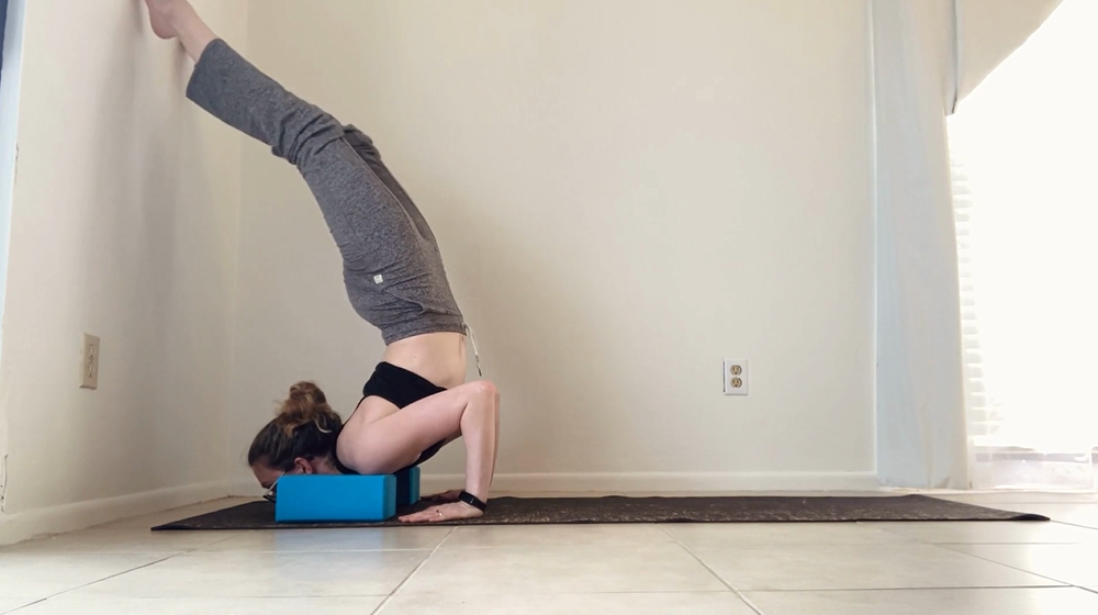 Example Chest Stand Training Progression — Dani Winks Flexibility