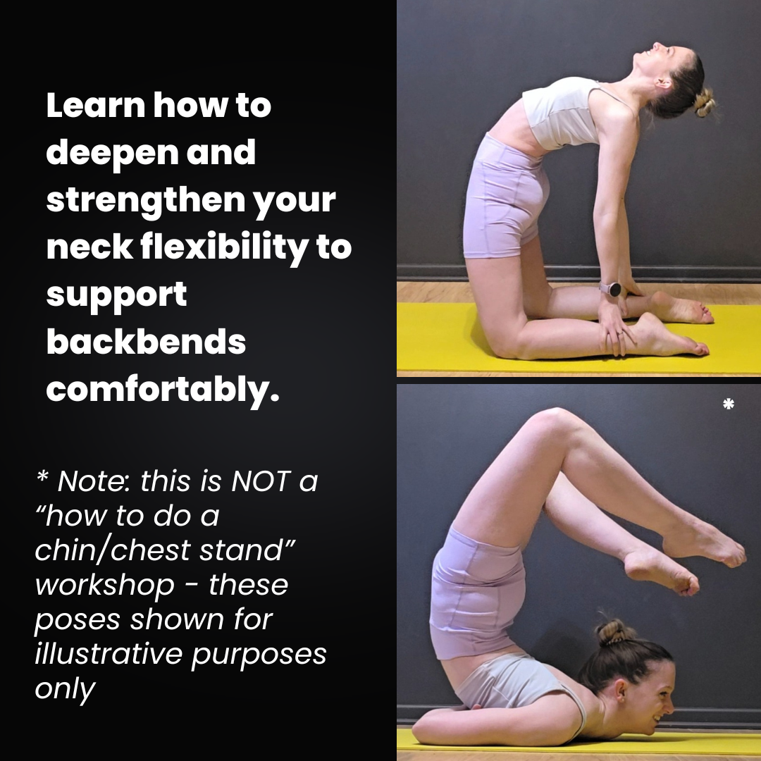 neck flexibility workshop goals.png