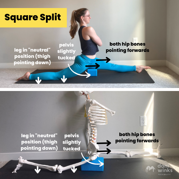 How to Tell if Your Split is “Square” (the “Butt Cheek Test” and More!) —  Dani Winks Flexibility