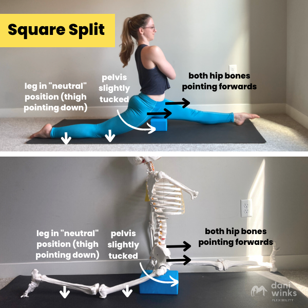 Split Quiggle How to Tell if Your Split is “Square” (the “Butt Cheek Test” and More ...