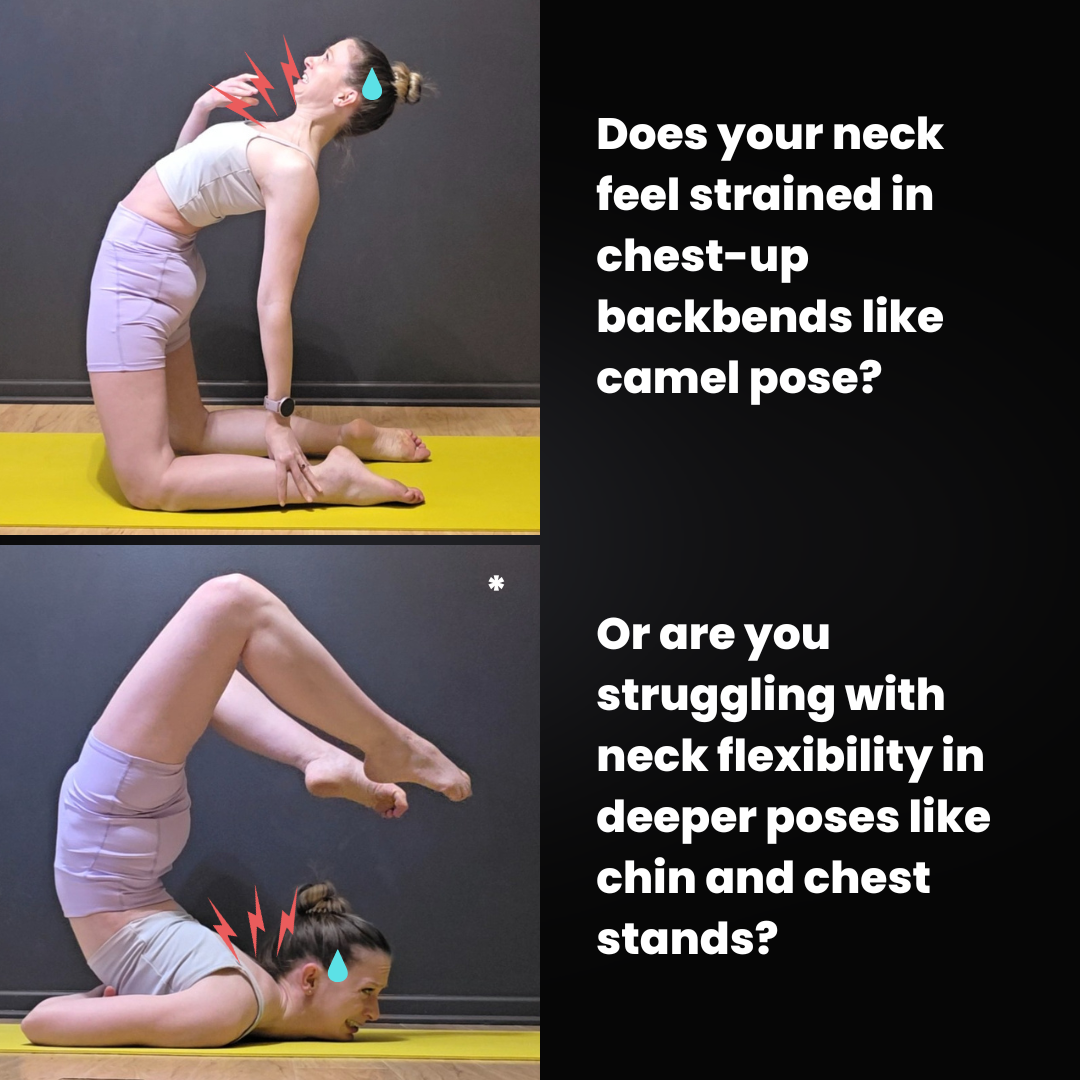 who this neck workshop is for.png