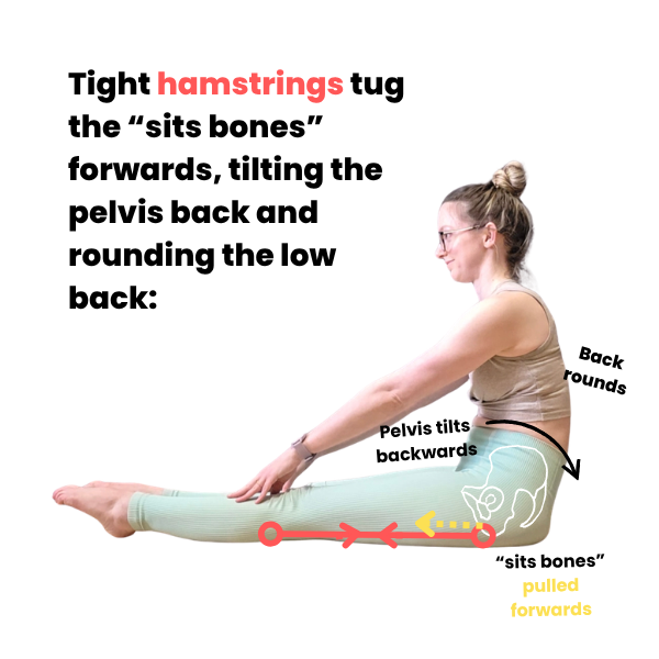 Sitting With Rounded Back Help! I Canβt Sit Up Straight with Legs Extended β Dani Winks Flexibility
