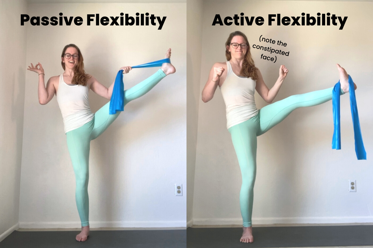What is “Active Flexibility” and Why is It So Important? — Dani