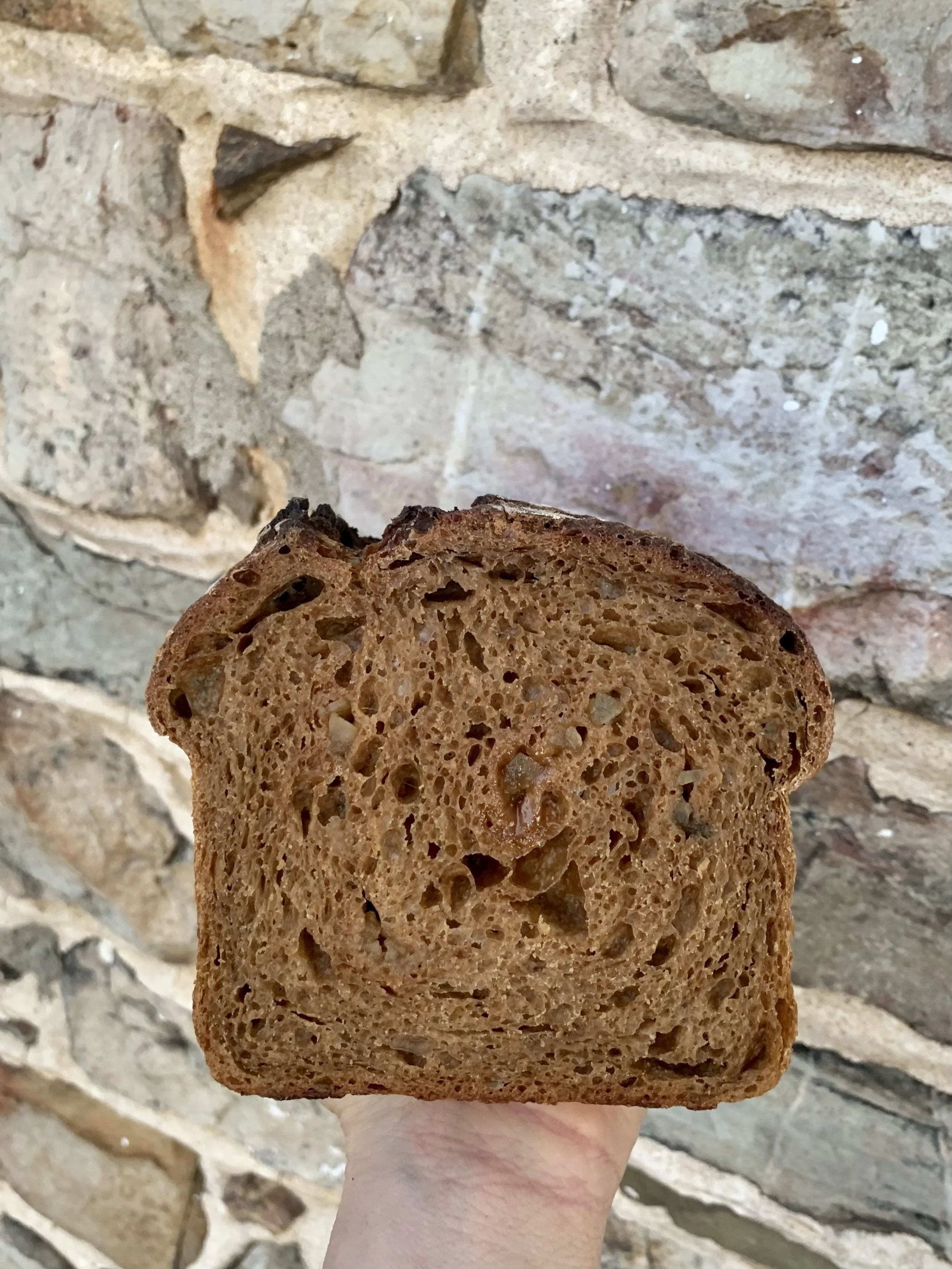 Sourdough Gingerbread