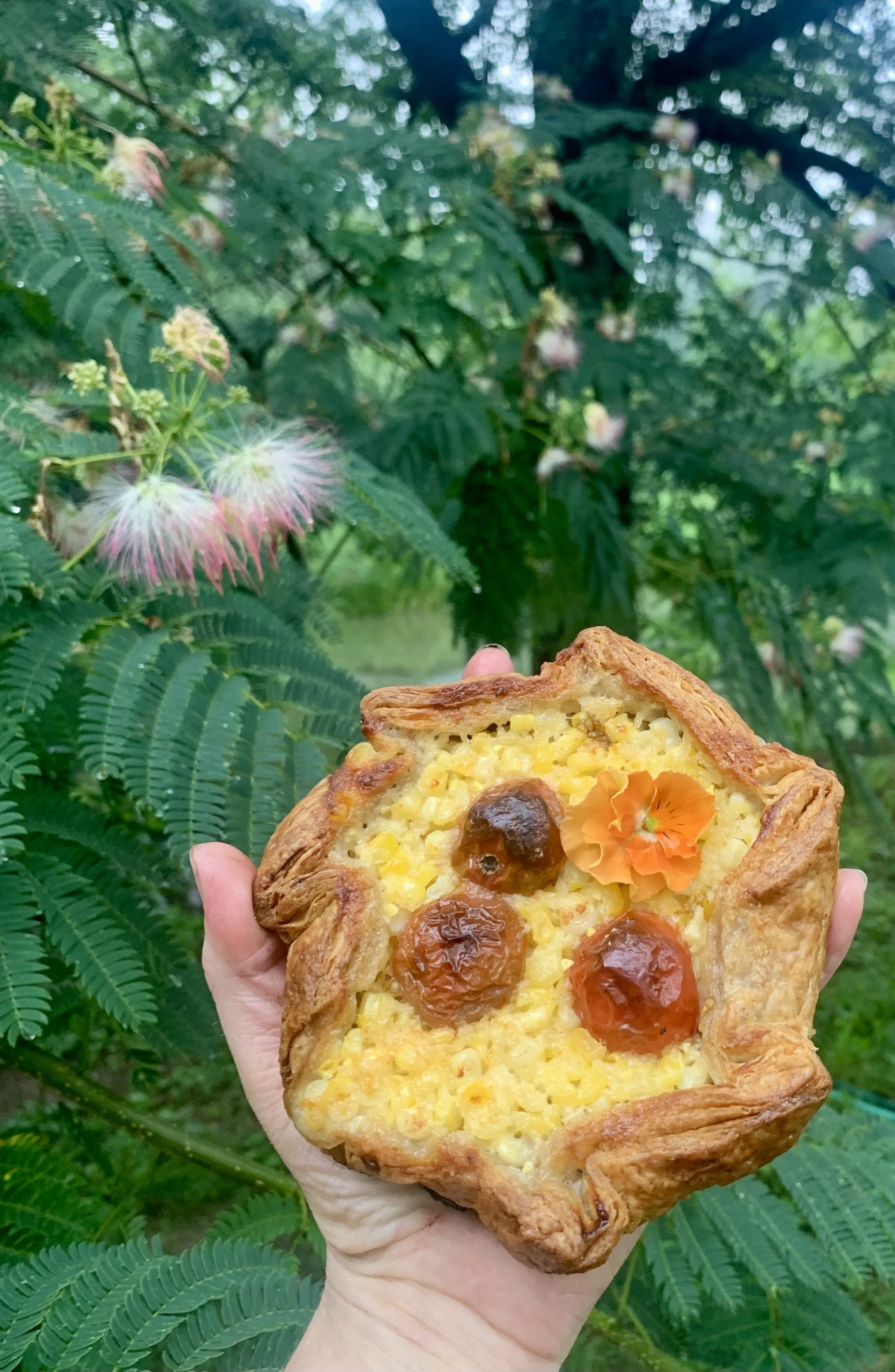 cornpie.jpg