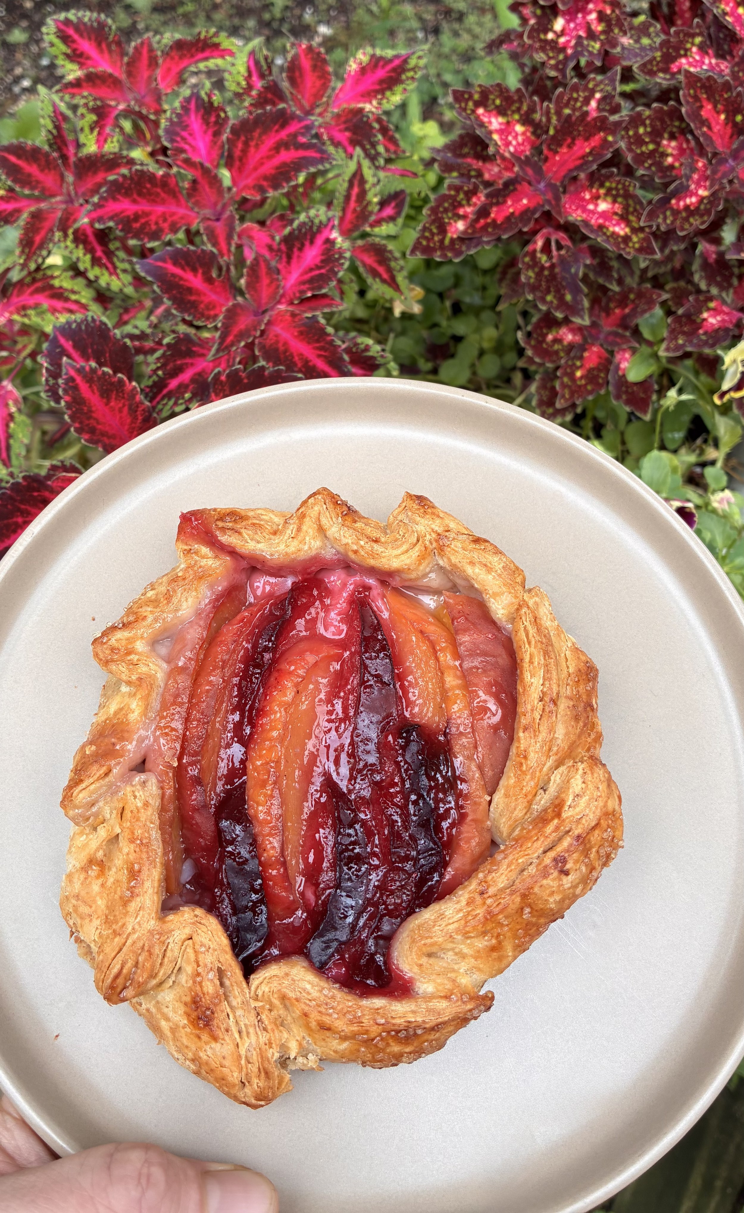 Plum and Peach Galette