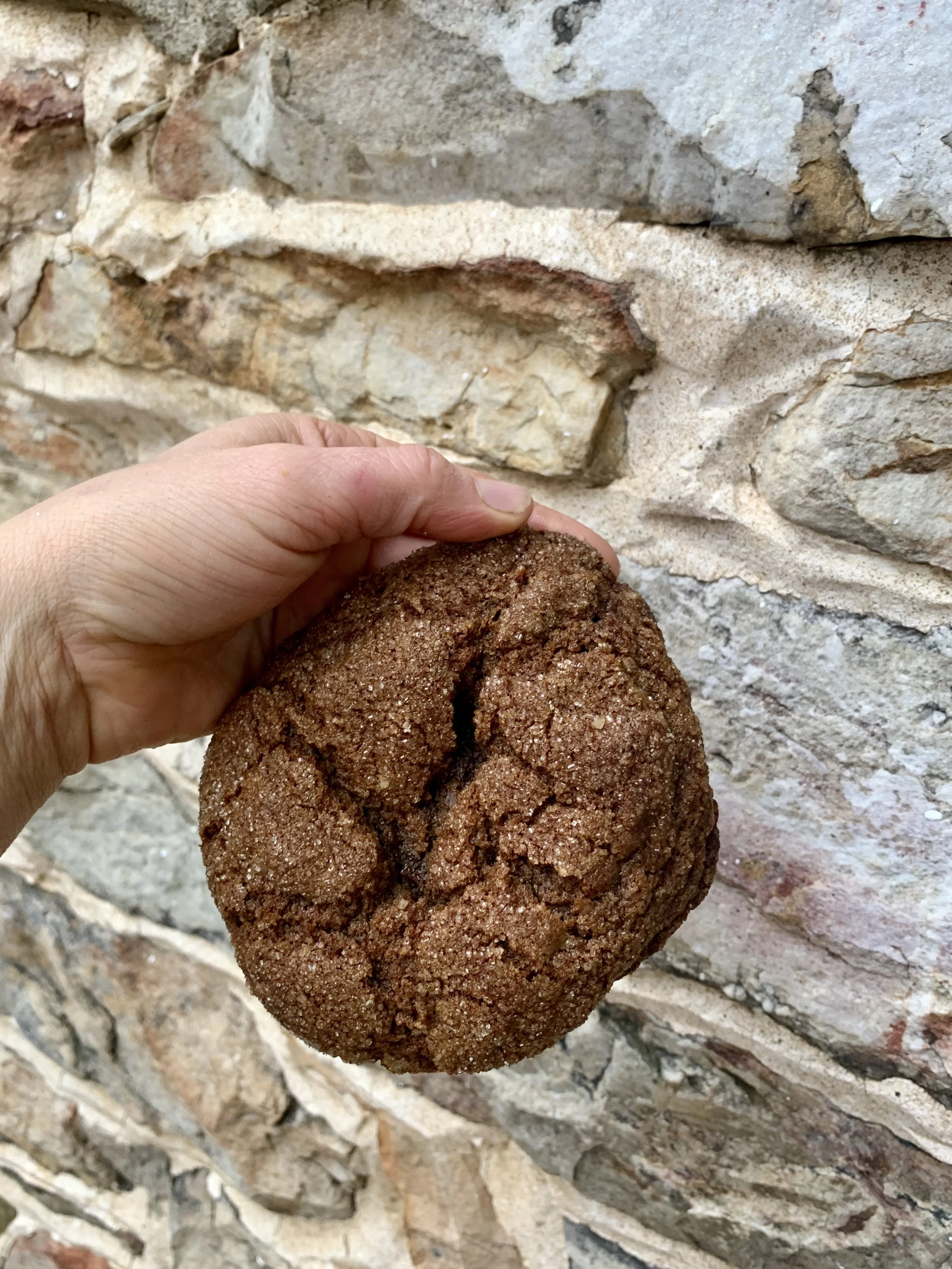 Dark Chocolate dipped Ginger molasses  cookie