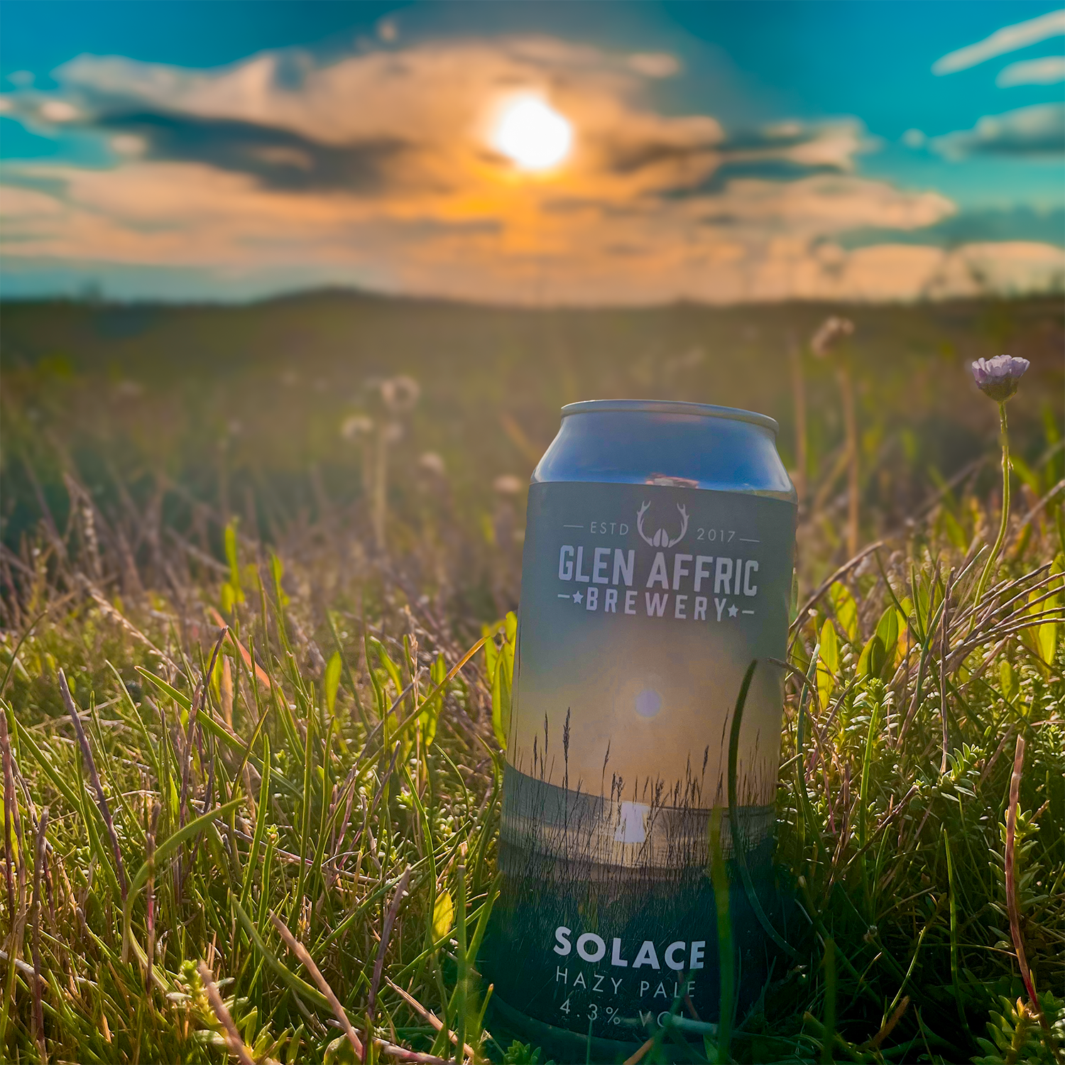 SOLACE SUNSET FINAL-3.png