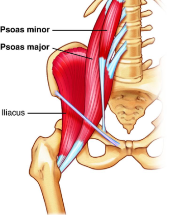 The One Exercises Your Hip Flexors Need…..today.
