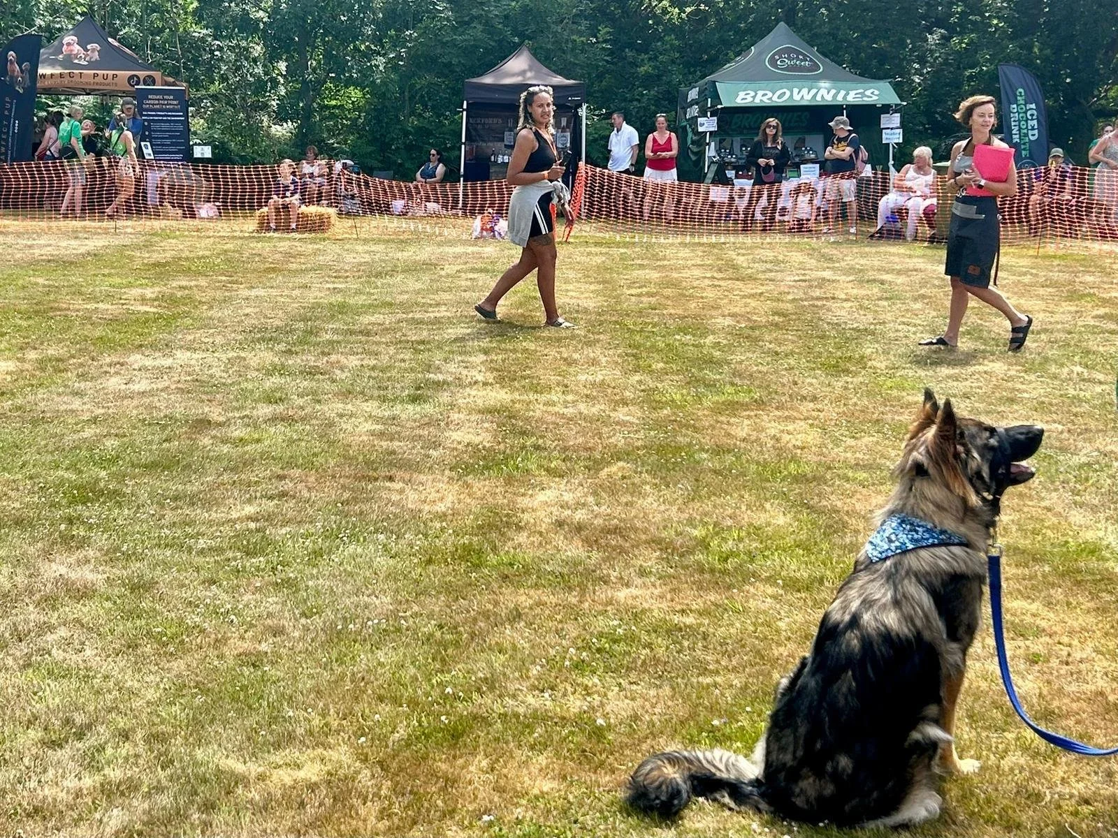 Why Jessie is Stepping Back from Weekends (and what that means for your pooch)…