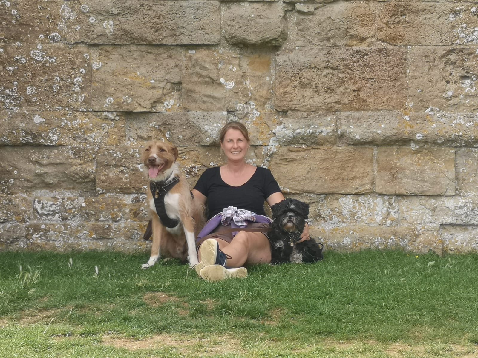A lady sitting by a wall with her dogs