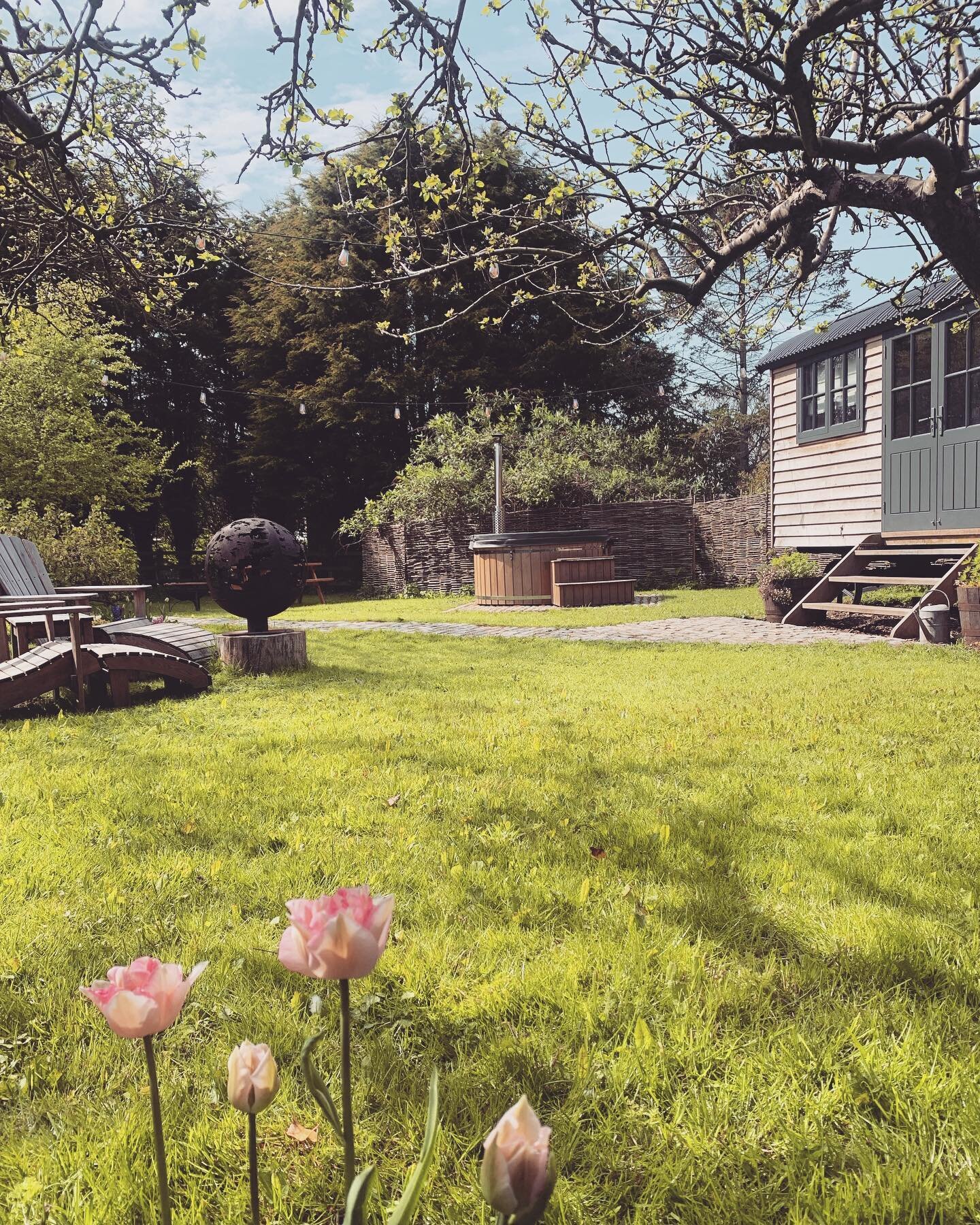 The flowers are in full bloom in the SH garden today! Our parents are keen gardeners &amp; last year planted lots of bulbs to make the garden look prettier than ever for the months ahead. 😍

There is something so calming about being in nature, with 