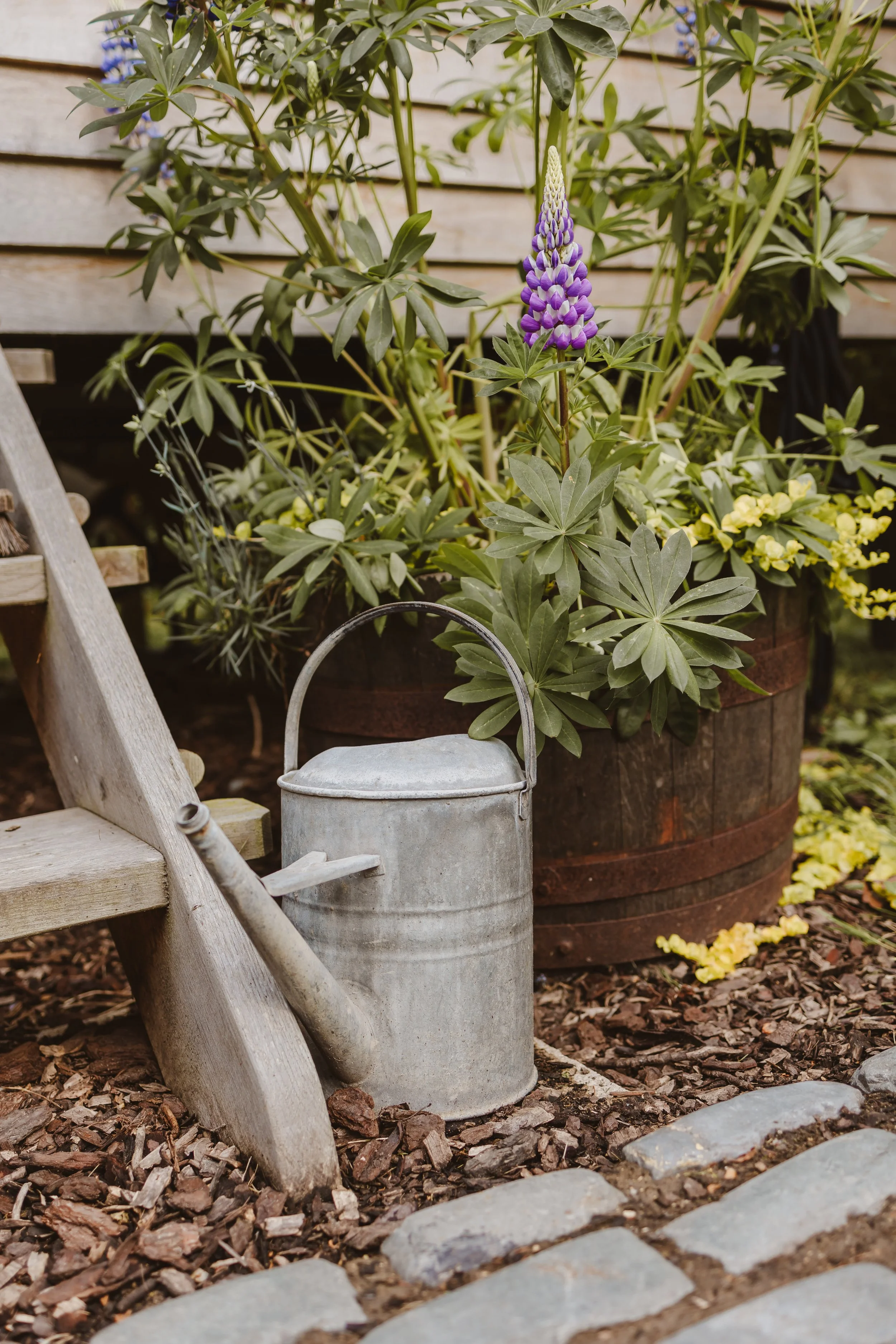 LoriYoungPhotography_TheStarlightHideaway-183.jpg