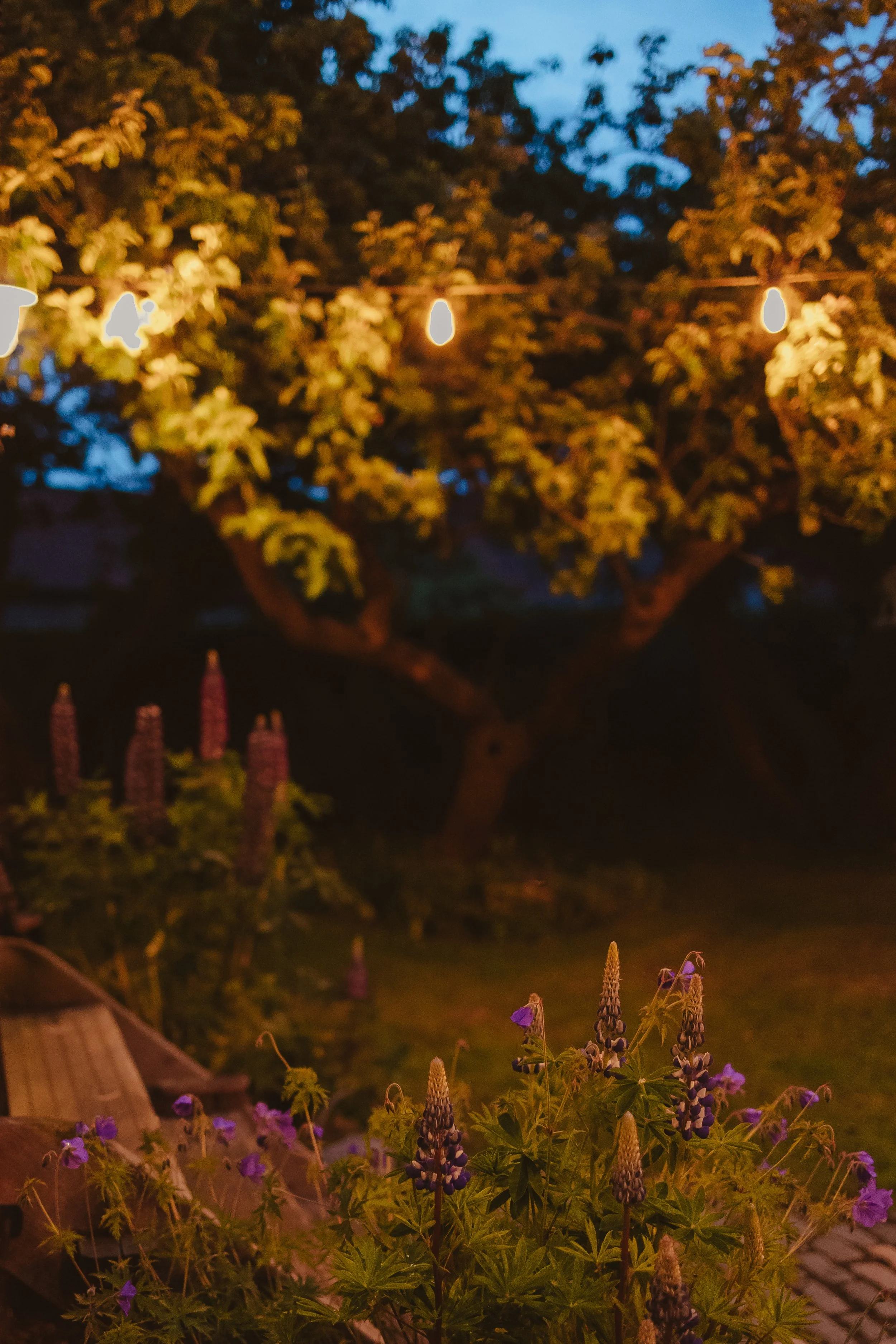 LoriYoungPhotography_TheStarlightHideaway-138.jpg