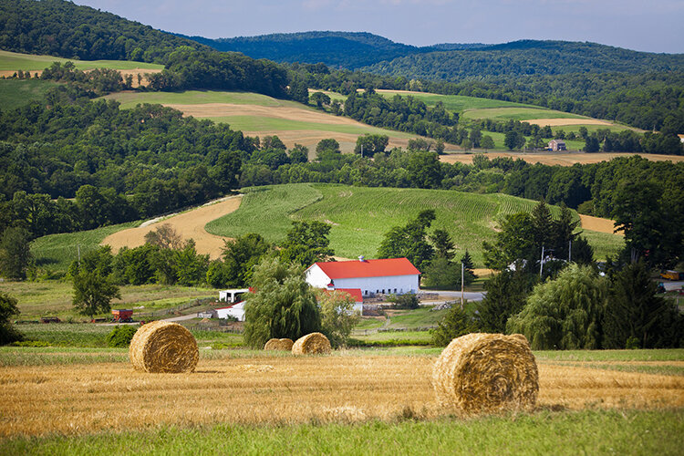 Coach-Farm-Hero-Shot.jpg