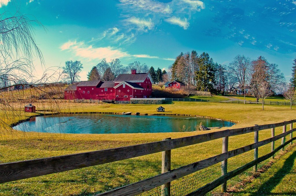 Holly Bush Farm Rhinebeck.jpg