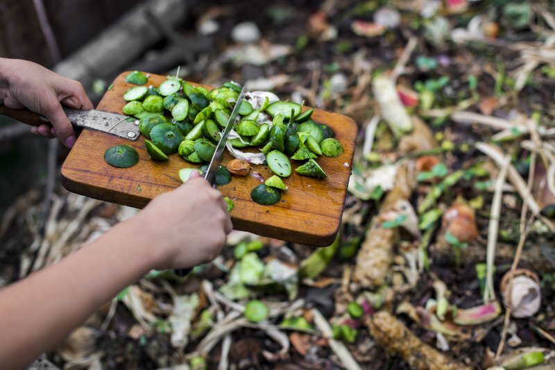 Composting Conversations