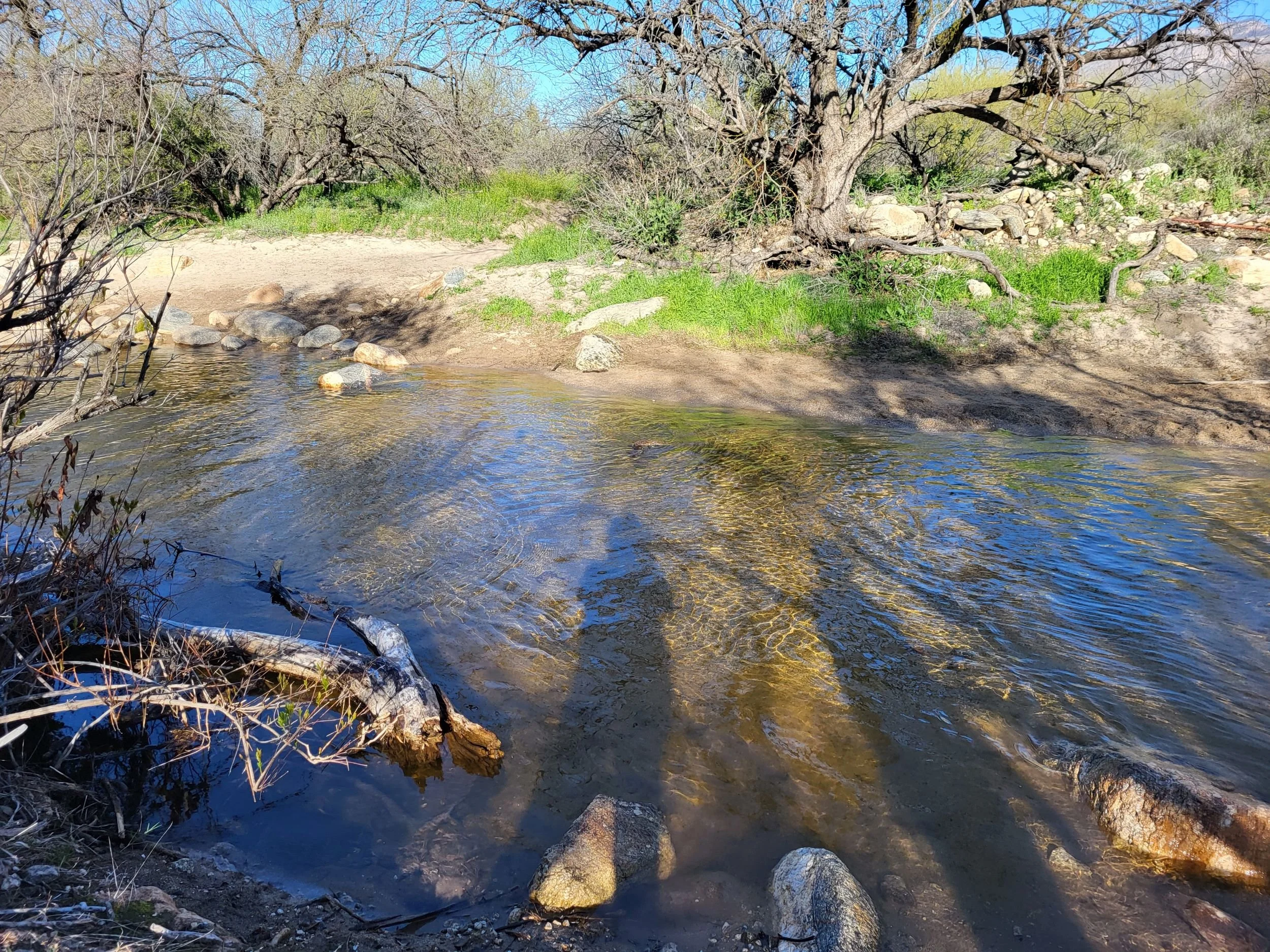 Bear river smaller.jpg