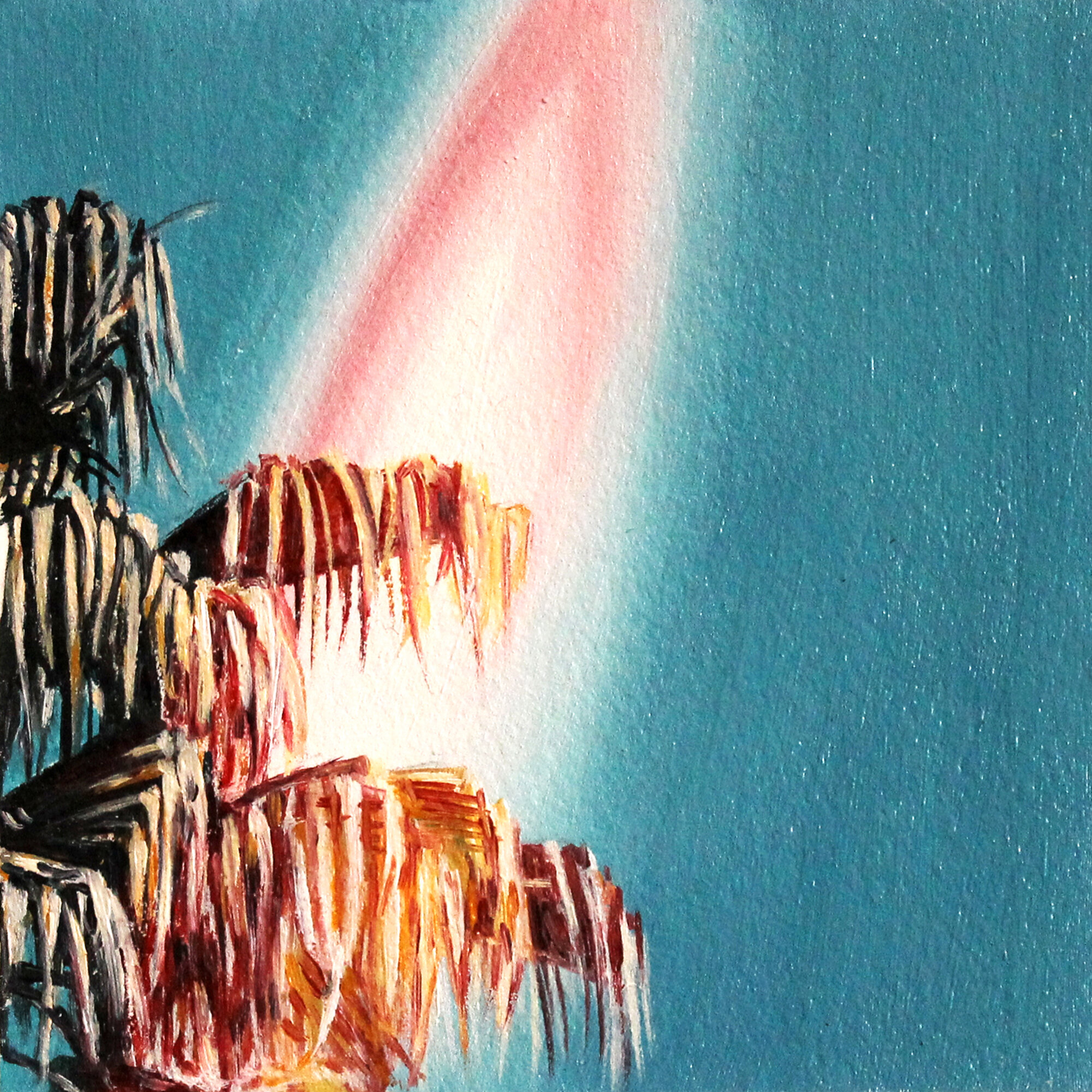 Imogen Hawgood Palm Tree Colour Flare.jpg