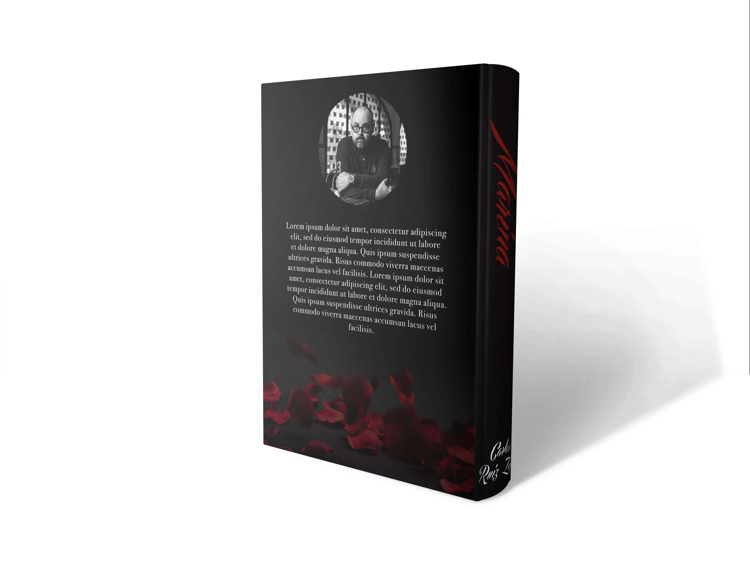 book_back1 (1).jpg