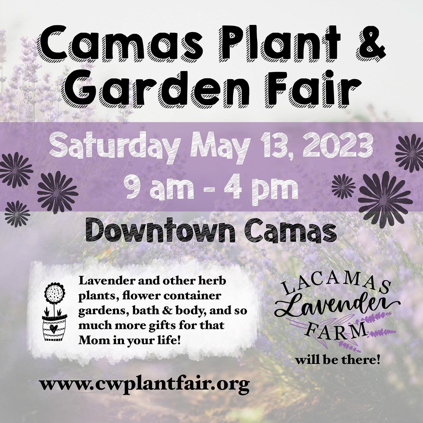 We&rsquo;re 6️⃣ days away from the Camas Plant and Garden Fair!!!
This week we&rsquo;ll be sharing all the lovely things we&rsquo;re bringing to the sale, so be sure to stay tuned in on our socials!
#lacamaslavenderfarm 
&bull; &bull; &bull; 
#camasp