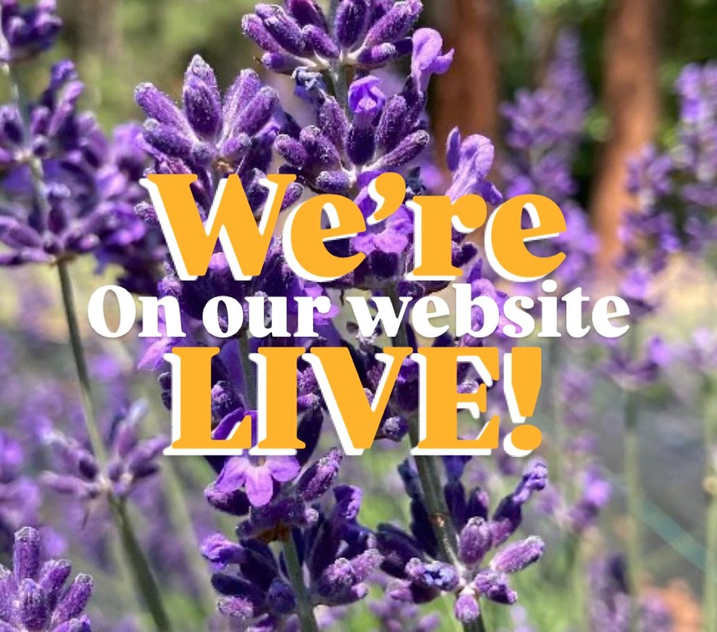Check out our lavender varieties we&rsquo;ll be bringing to the Camas Plant &amp; Garden Fair next month!
(Link in bio!)
🌼Saturday May 10, 2025
🌱9am-4pm
☀️Downtown Camas, WA
#lacamaslavenderfarm 
&bull; &bull; &bull;
#camasplantandgardenfair 
#cama
