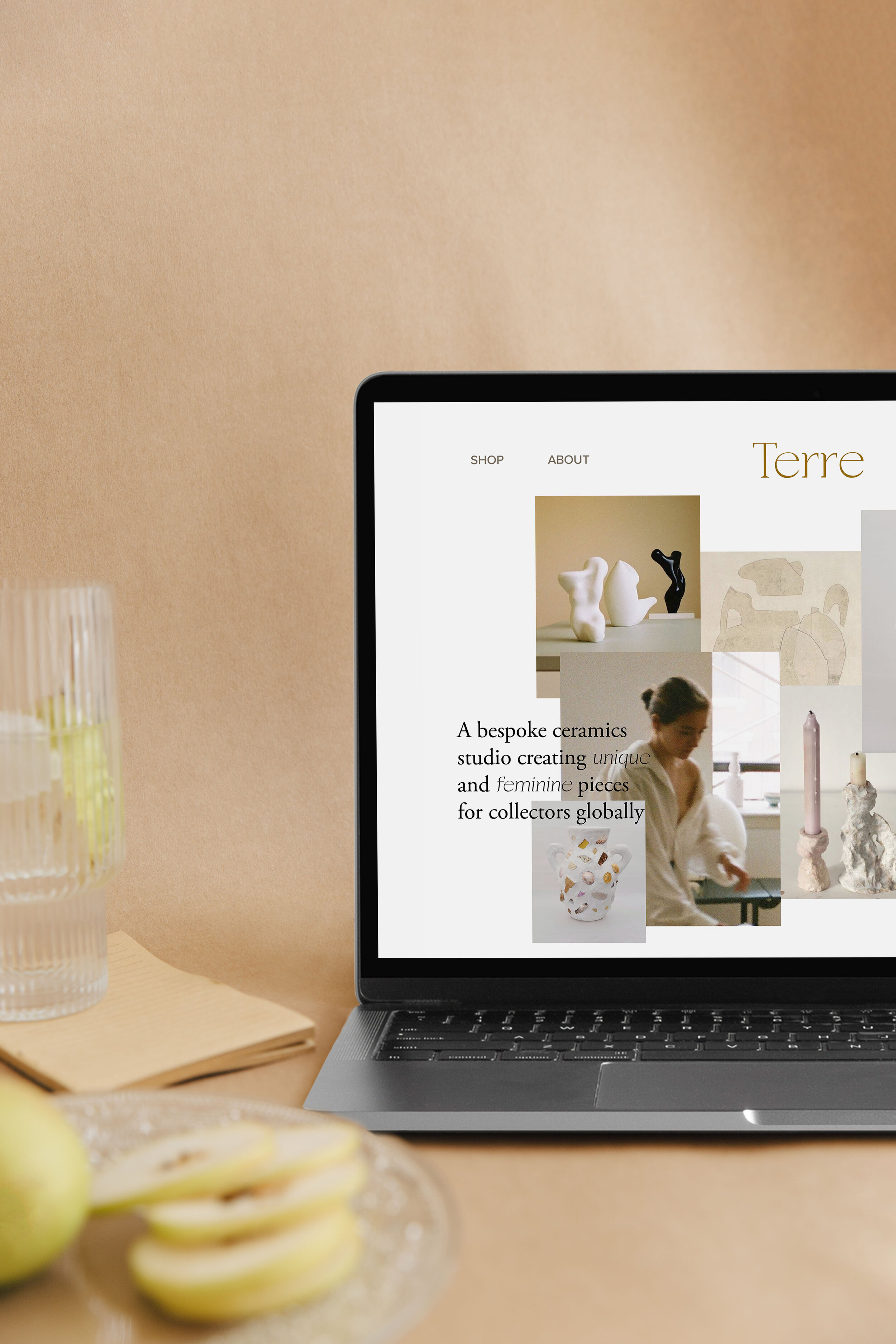 Terre Website Mockup.jpg