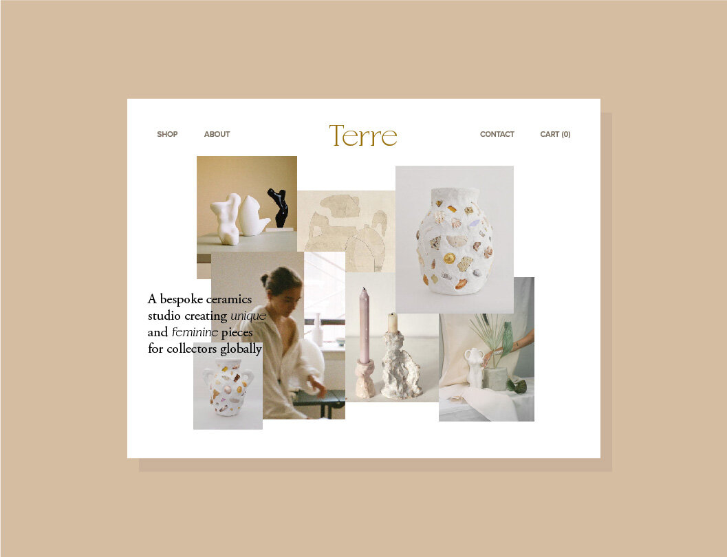 TerreHomepage.jpg