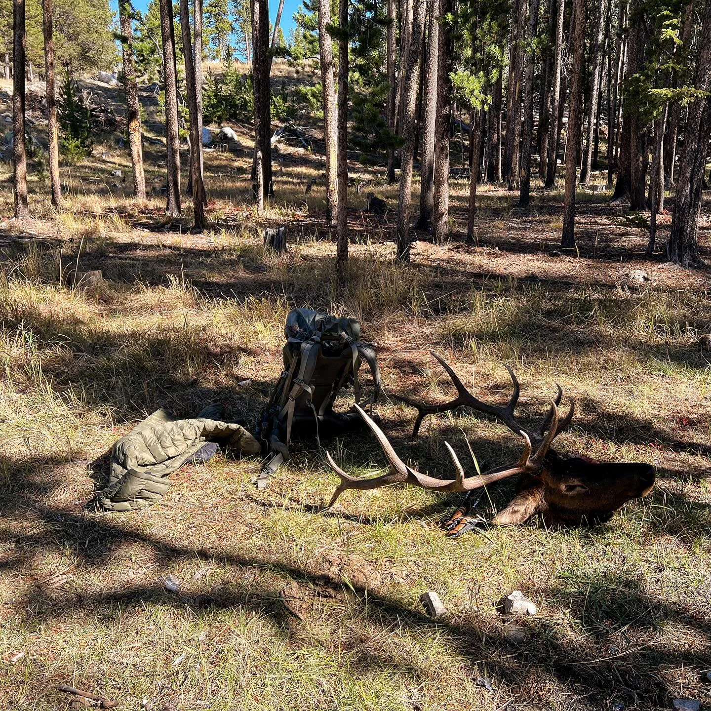 Very excited about my newest Affiliate partnership with @gohunt 🙌

GOHUNT has a robust gear shop that is filled with proven products that their team actually use in the field. They&rsquo;ve become the place I almost exclusively shop for all of my ge