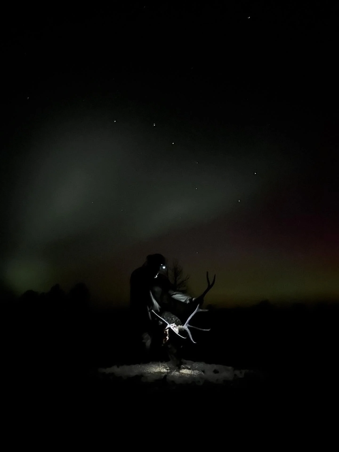 Night two we had quite the show back at camp. 🌌

The Northern Lights were out and I had never seen them so clearly. Collin had some cool shots in mind and worked some magic from his IPhone. 📱

I would have loved to see what he could have done with 