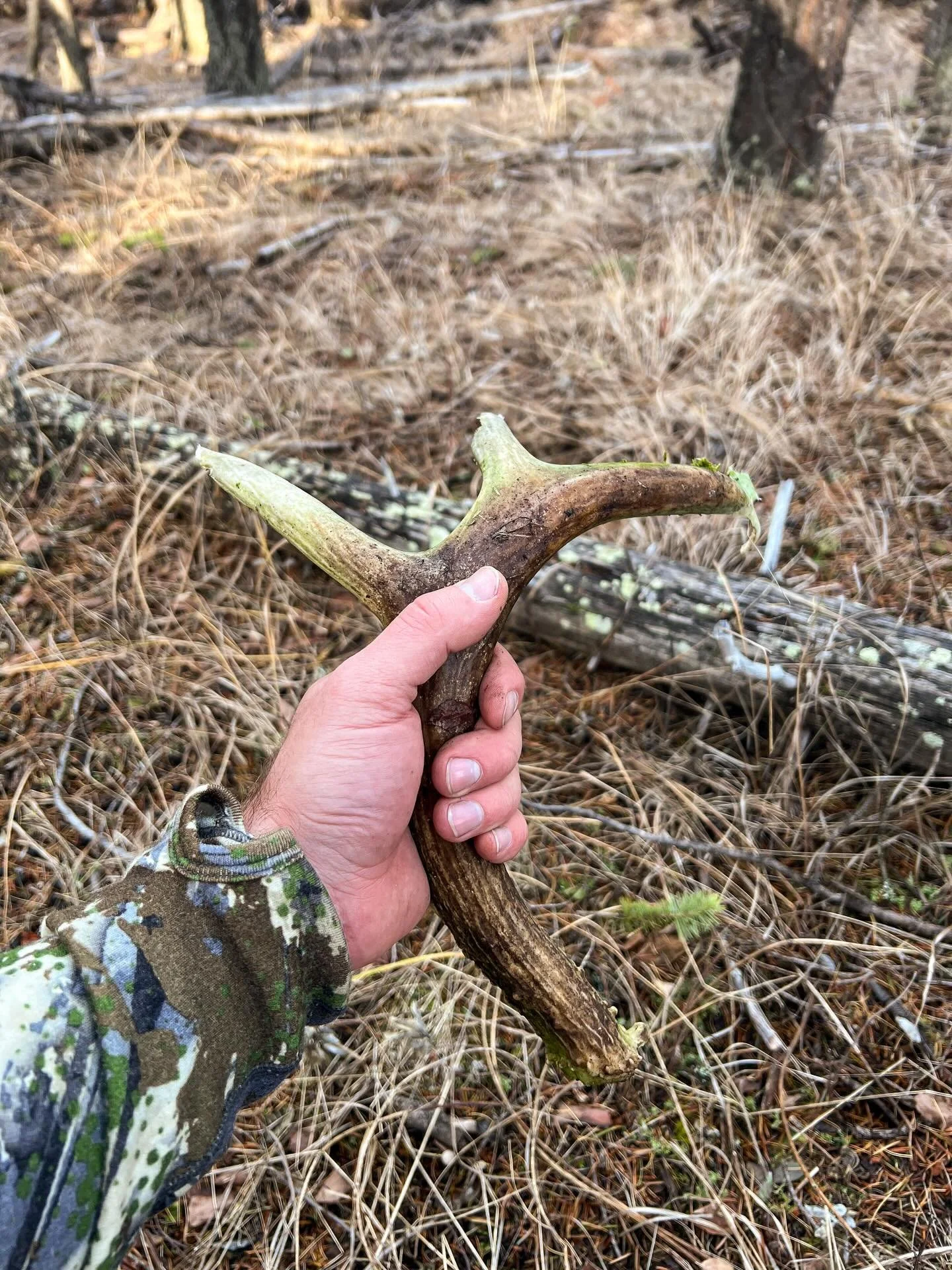 To put it plainly, this rifle season has been a bummer. 😮&zwj;💨

I didn&rsquo;t kill anything during archery season, which is the first time that&rsquo;s happened since being in Montana. I then pridefully thought that general season was a near guar